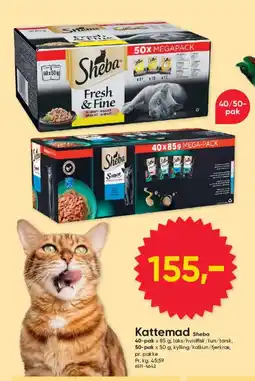 BigDollar Kattemad Sheba tilbud