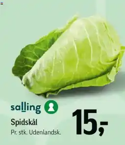 Føtex Spidskål tilbud