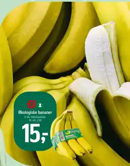 Føtex Økologiske bananer tilbud