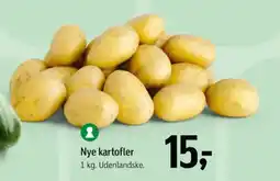 Føtex Nye kartofler tilbud