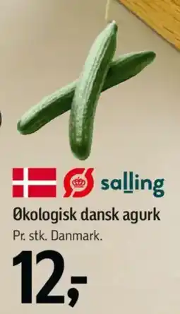 Føtex Økologisk dansk agurk tilbud