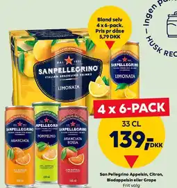 BorderShop San Pellegrino 4 x 6-PACK (33 cl) tilbud