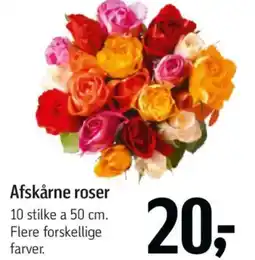 Føtex Afskårne roser tilbud