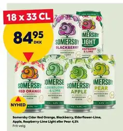 BorderShop Somersby Cider Red Orange, Blackberry, Elderflower-Lime, Apple, Raspberry-Lime Light eller Pear 4,5% tilbud