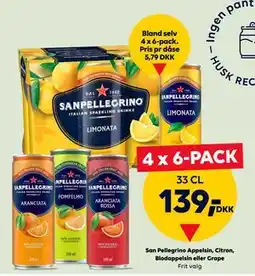 BorderShop San Pellegrino Appelsin, Citron, Blodappelsin eller Grape tilbud