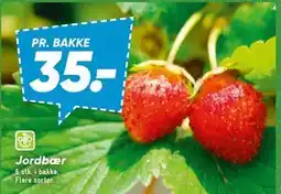 Bilka Jordbær tilbud