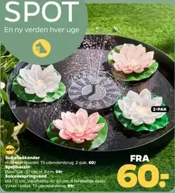 Netto Spejlbassin tilbud