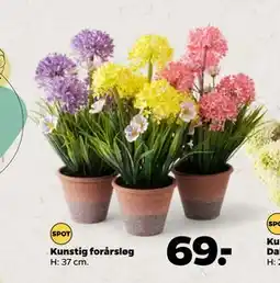 Netto Kunstig forårsløg tilbud