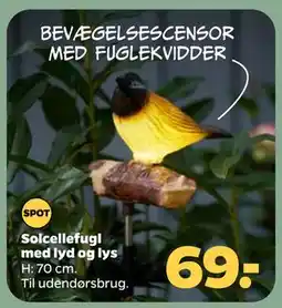 Netto Solcellefugl med lyd og lys tilbud