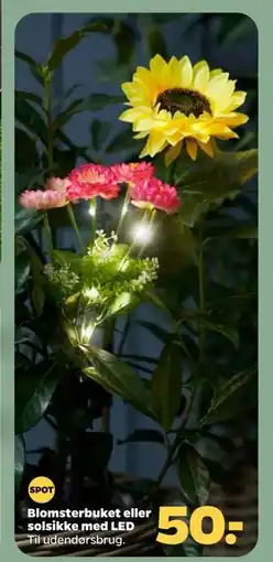 Netto Blomsterbuket eller solsikke med LED tilbud
