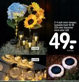 REMA 1000 2-4-pak solar lamper, lyskæde med 10-20 LED eller blomster med solar LED tilbud