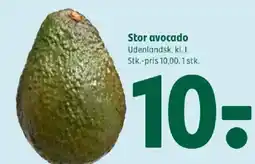 Coop 365 Stor avocado tilbud