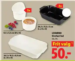 Lidl LIVARNO Ovnfast fad tilbud