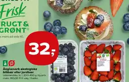 Kvickly Änglamark økologiske blåbær eller jordbær tilbud