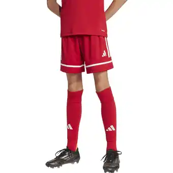 Sport 24 adidas Squadra 25 Træningsshorts Børn tilbud
