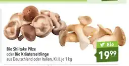 Citti Bio Shiitake Pilze oder Bio Kräuterseitlinge tilbud