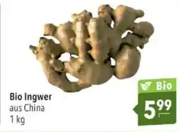 Citti Bio Ingwer tilbud