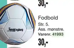 Harald Nyborg Fodbold tilbud