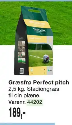 Harald Nyborg Græsfrø Perfect pitch tilbud