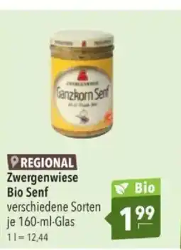 Citti Zwergenwiese Bio Senf tilbud