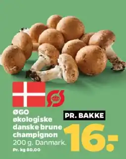 Netto Økologiske danske brune champignon tilbud