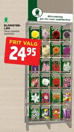 jem & fix Blomsterløg tilbud