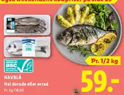 Lidl Hel dorade eller ørred tilbud
