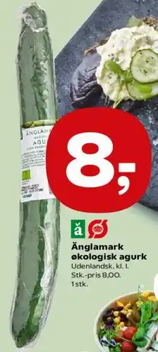 SuperBrugsen Änglamark økologisk agurk tilbud