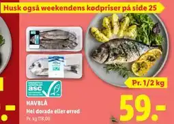 Lidl HAVBLÅ Hel dorade eller ørred tilbud