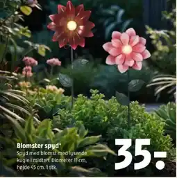 Coop 365 Blomster spyd tilbud