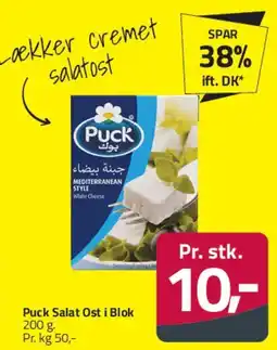 Fleggaard Puck Salatost i blok tilbud