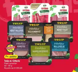 Fakta Tyskland Tulip el. citterio tilbud