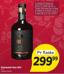Fakta Tyskland RAMMSTEIN Rum 40% tilbud