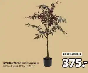 JYSK DVERGDYKKER kunstig plante tilbud