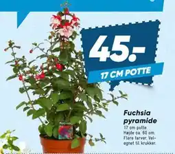 Bilka Fuchsia pyramide tilbud