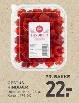 MENY GESTUS HINDBÆR tilbud