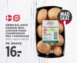 MENY GRØN BALANCE DANSKE ØKOLOGISKE MARK CHAMPIGNON FRA TVEDEMOSE tilbud