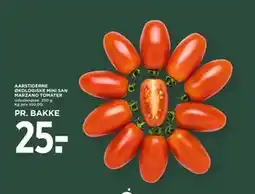 MENY AARSTIDERNE ØKOLOGISKE MINI SAN MARZANO TOMATER tilbud