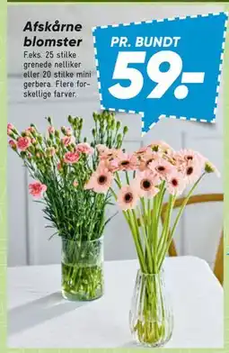 Bilka Afskårne blomster tilbud