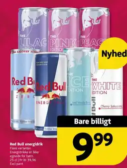 Løvbjerg Red Bull energidrik tilbud