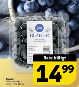 Løvbjerg Blabaer tilbud