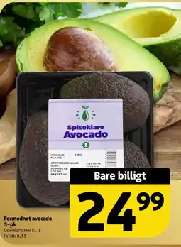 Løvbjerg Formodnet avocado 3-pk tilbud