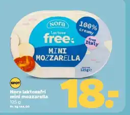 Netto Nora laktosefri mini mozzarella tilbud