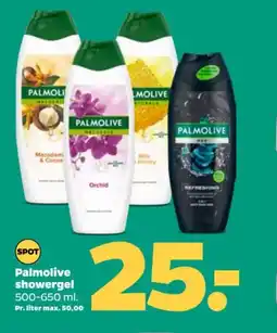 Netto Palmolive showergel tilbud