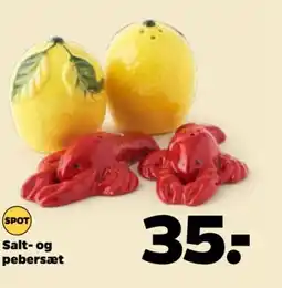 Netto Salt- og pebersæt tilbud