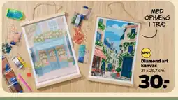 Netto Diamond art kanvas tilbud