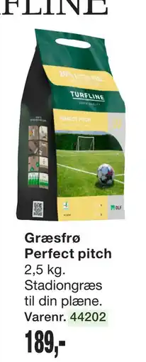 Harald Nyborg Græsfrø Perfect pitch tilbud