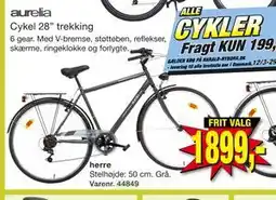 Harald Nyborg Cykel 28” trekking tilbud