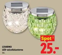 Lidl LIVARNO LED-solcellelanterne tilbud