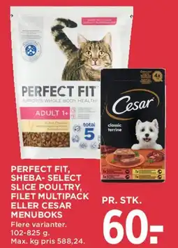 MENY Perfect Fit / Sheba / Cesar tilbud